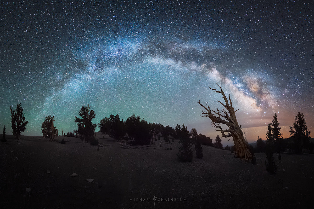 Greater than 4K Timelapse Cameras