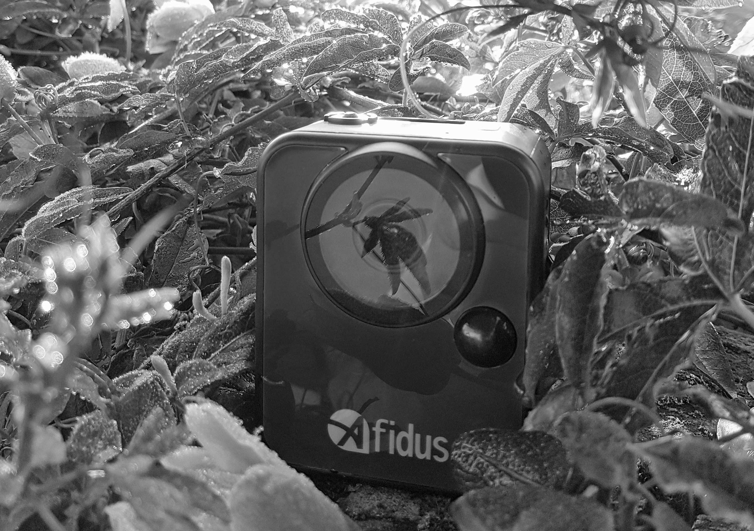 Afidus Timelapse Cameras